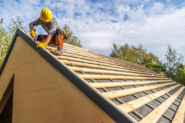 Best Roof Gutter Cleaning  in Ridgefield, NJ